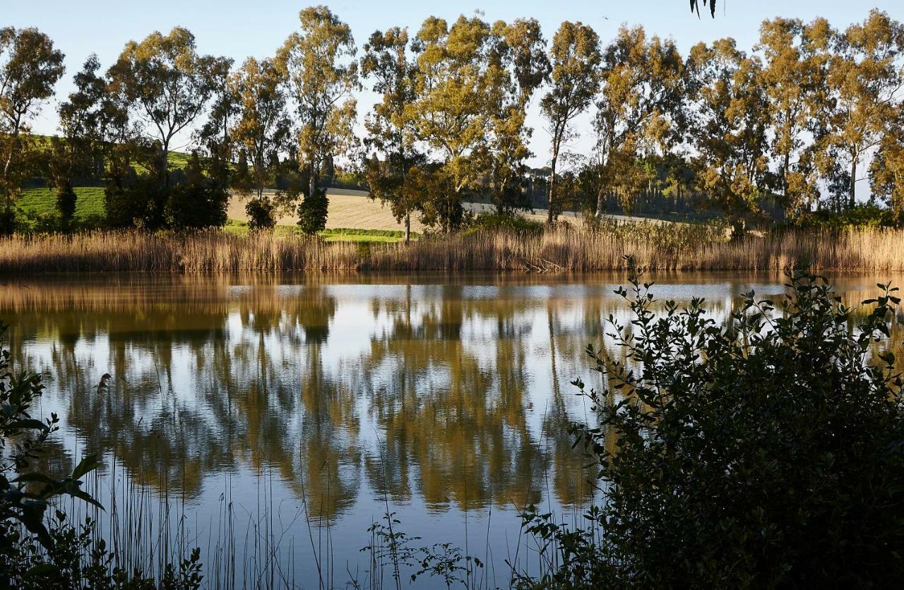 Отель Agriturismo Ca Lo Spelli Guasticce Экстерьер фото